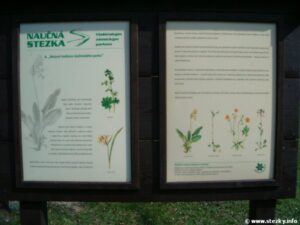 Naučná stezka Vlašimským zámeckým parkem (stará, krátká verze)
