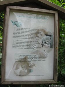 Naučná stezka Lesopark (Kostelec nad Černými lesy)